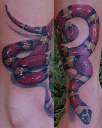 Tattoos - Milk Snake - 27577